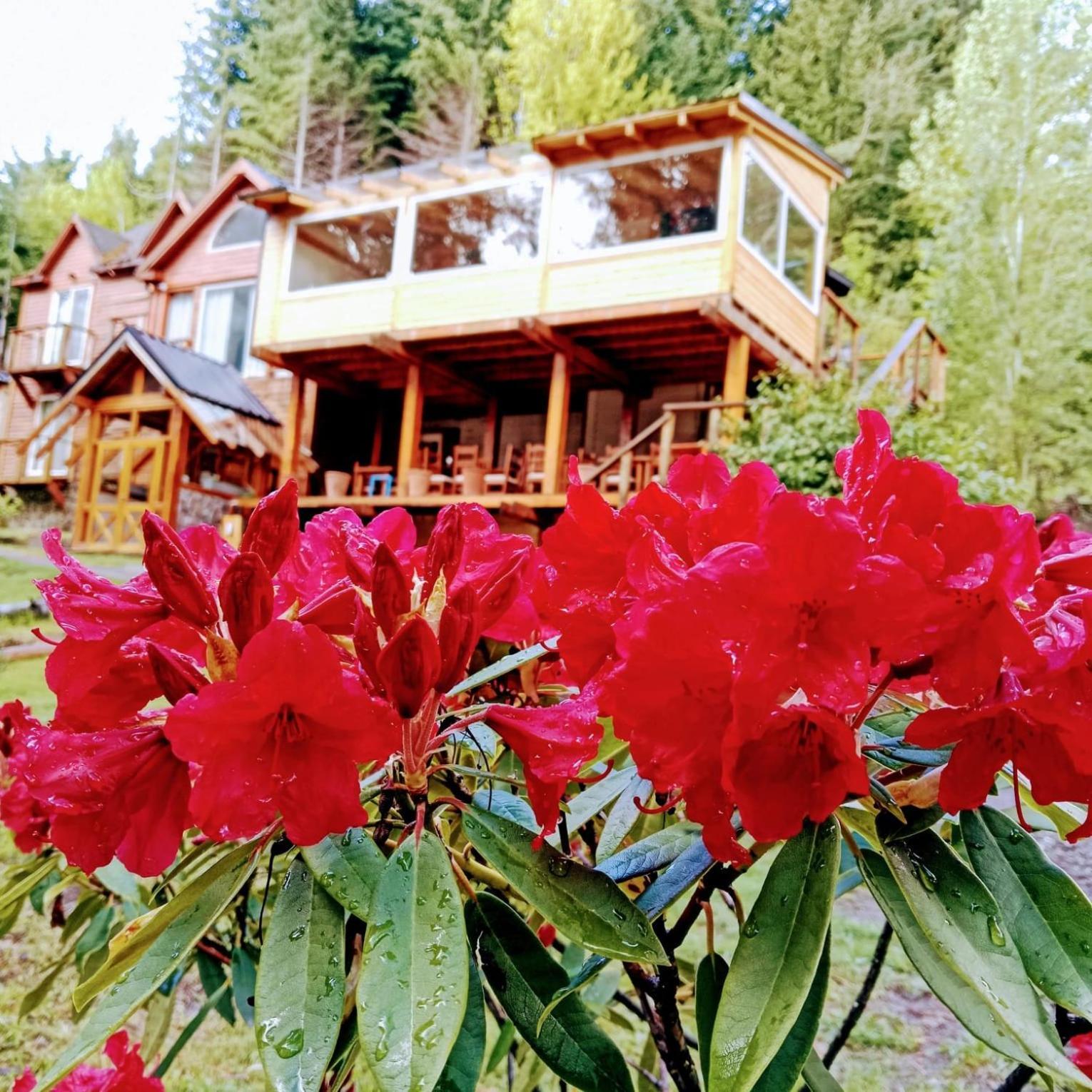 Hosteria Lekun Lekun Вила ла Ангостура Екстериор снимка